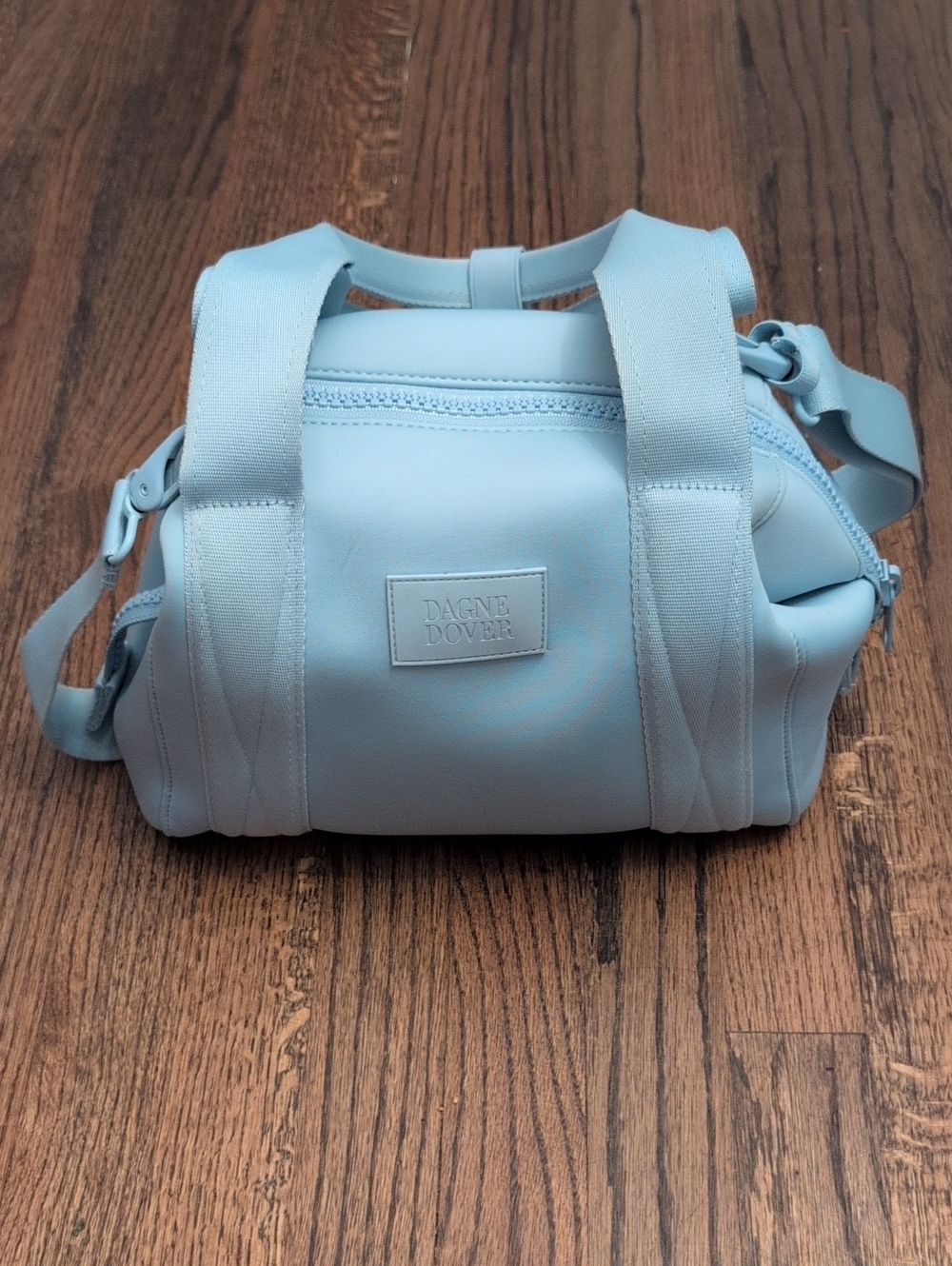 Small Dagne Dover Powder Blue Mini Duffel With Dust Cover